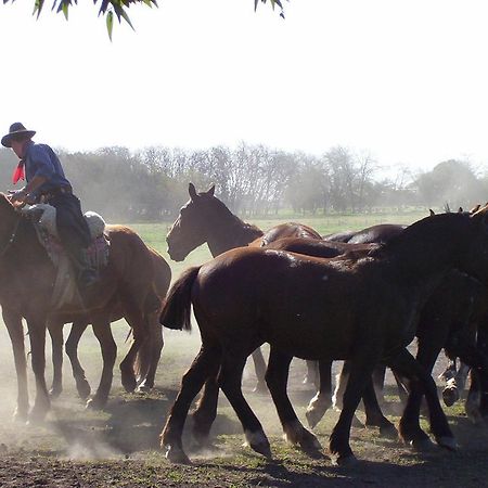 Estancia Don Silvano Pensionat Diego Gaynor Eksteriør billede